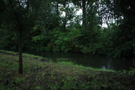De waterhuishouding van het gebied