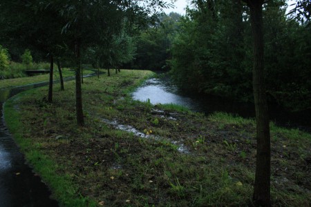 De waterhuishouding van het gebied