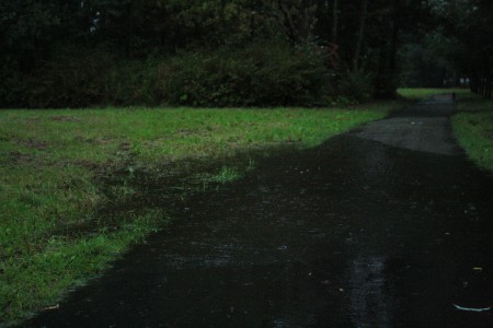 De waterhuishouding van het gebied
