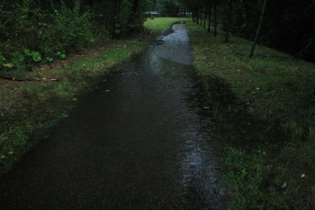 De waterhuishouding van het gebied