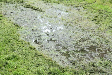 De waterhuishouding van het gebied