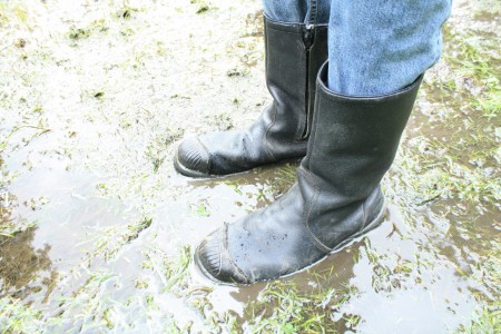 De waterhuishouding van het gebied